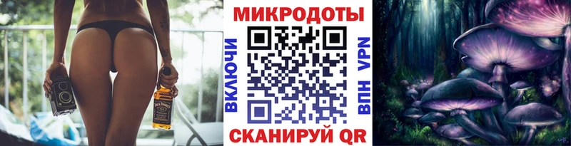 Псилоцибиновые грибы Psilocybine cubensis Ивдель