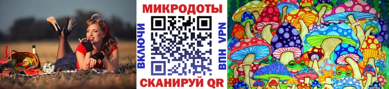 Псилоцибиновые грибы прущие грибы  кракен ССЫЛКА  Ивдель 
